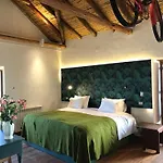 Arqueologo Exclusive Selection