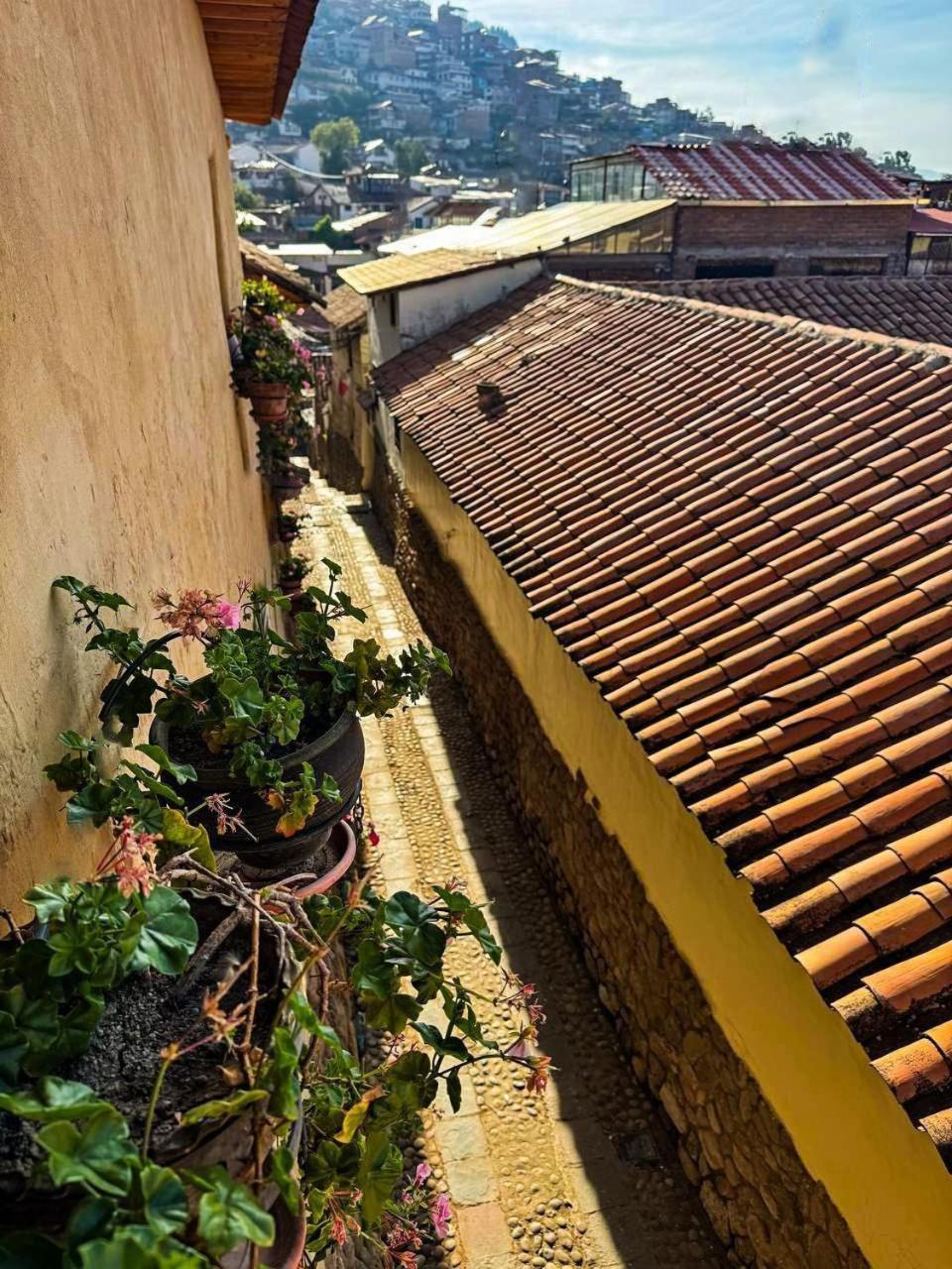 Arqueologo Exclusive Selection Cuzco